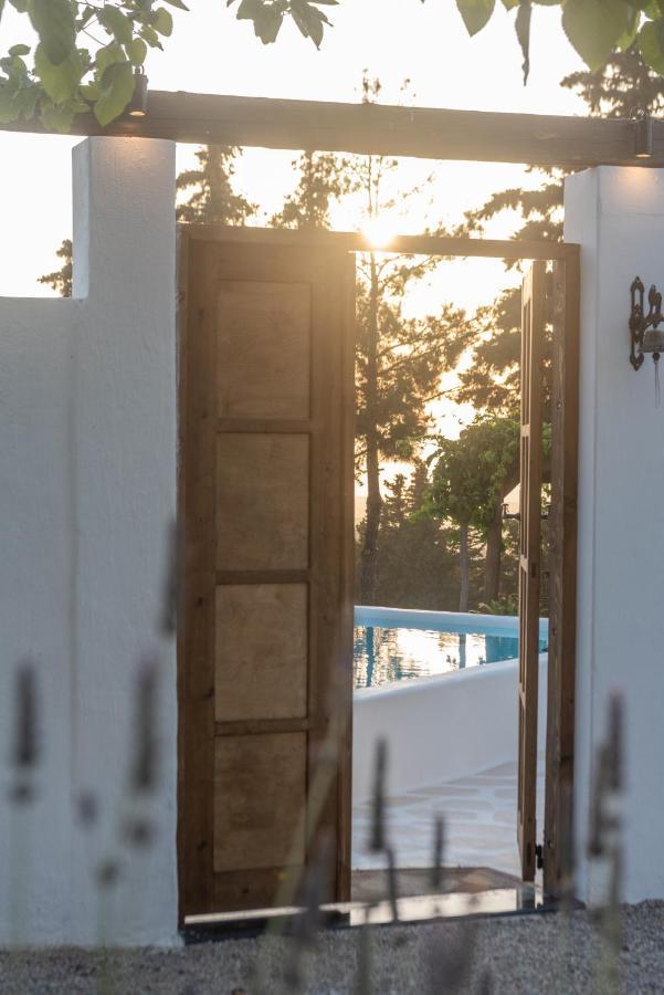 Tramonto Villa Lagoudi Zia Ngoại thất bức ảnh