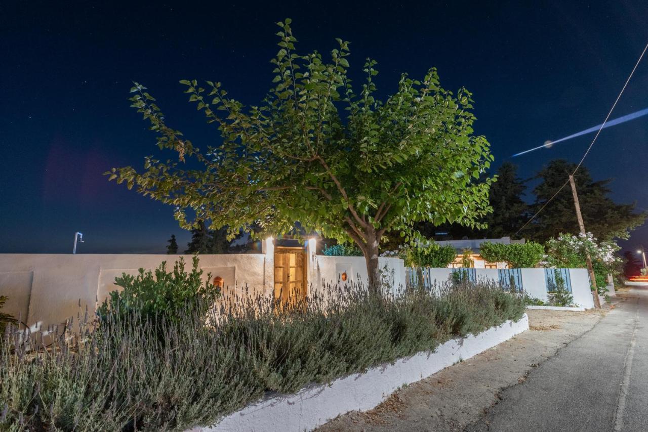 Tramonto Villa Lagoudi Zia Ngoại thất bức ảnh