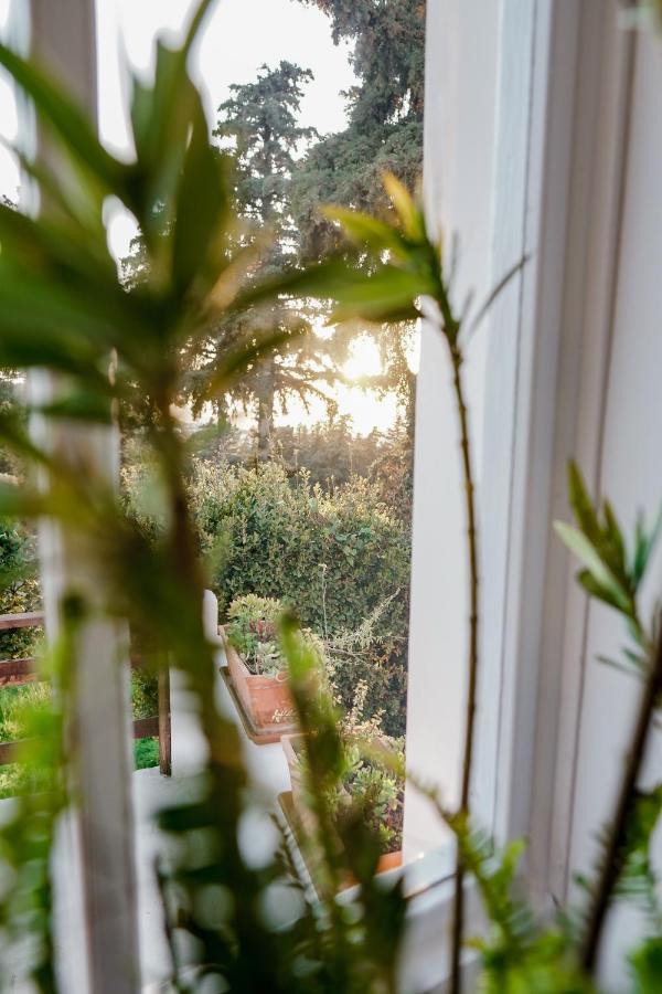 Tramonto Villa Lagoudi Zia Ngoại thất bức ảnh